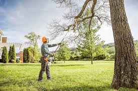 Best Tree Trimming and Pruning  in Point Baker, FL